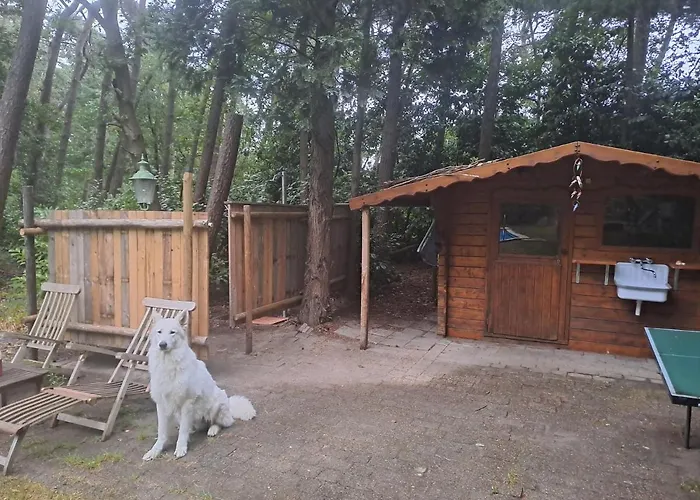 Boomhut