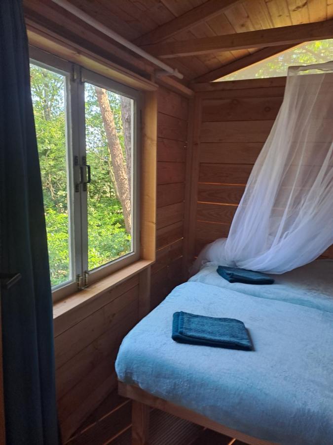 Luxury tent Boomhut
