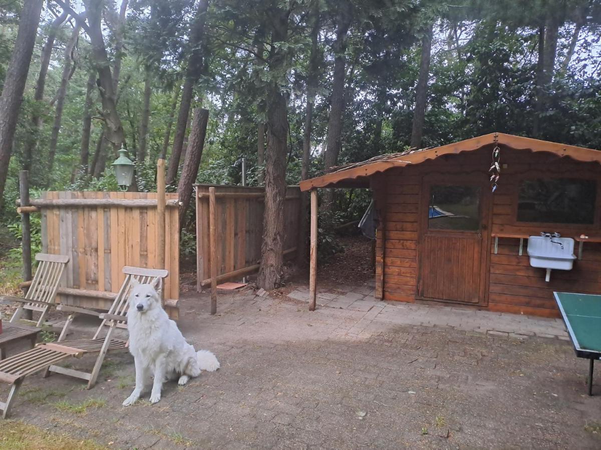 Boomhut Luxury tent Rijsbergen